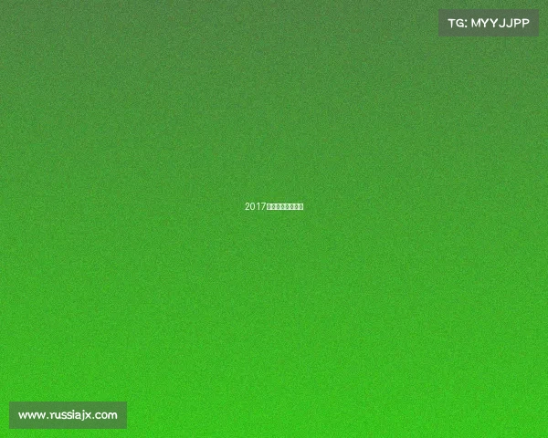 2017大脚赛车比赛视频